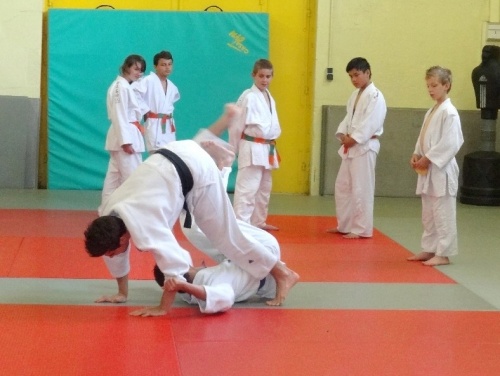 Les judokas