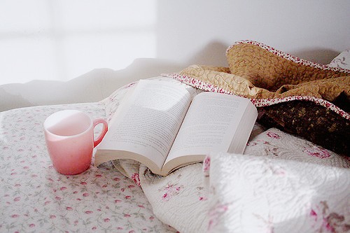 livre rencontre en terre inconnue