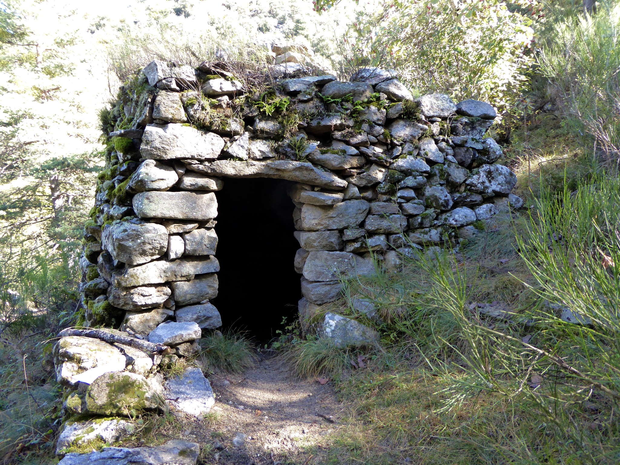 Aucune description de photo disponible.