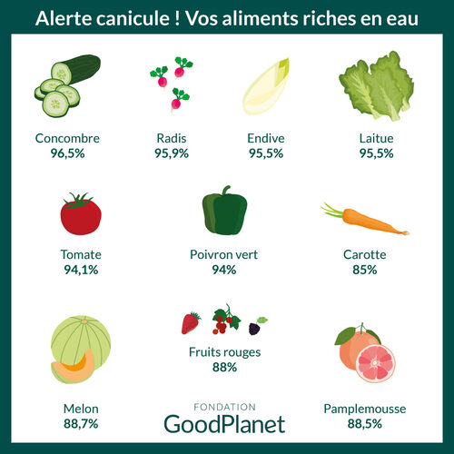 Aliments les riches en eau