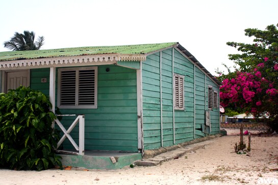 L'Ile de Saona ,  juin 2015 en République Dominicaine