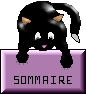 sommaire