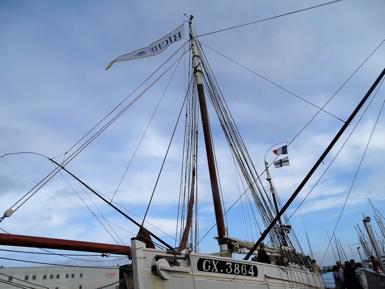 Les aventuriers de la mer 