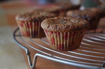 Mini-Cupcakes tout pépite de chocolat