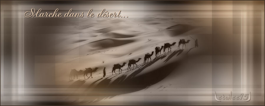 Papier n° 7 - Marche dans le désert Image358