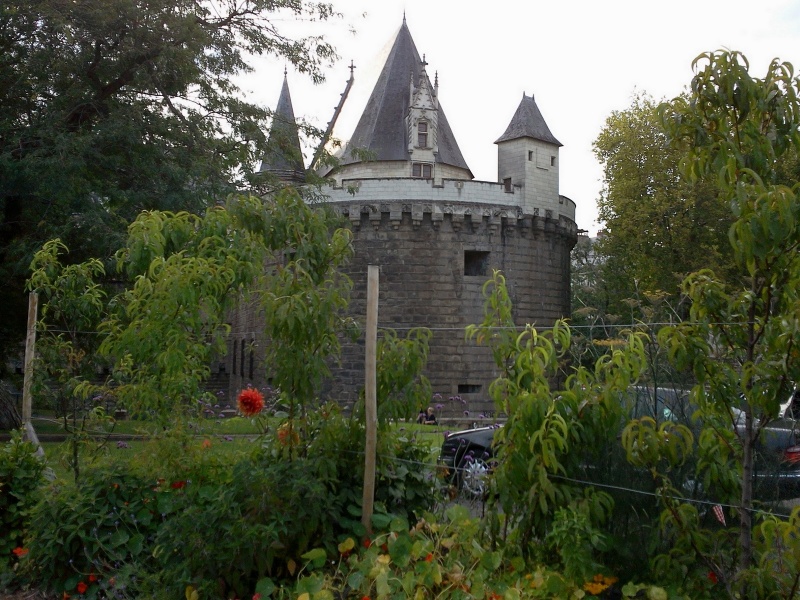 Le château des Ducs de Bretagne