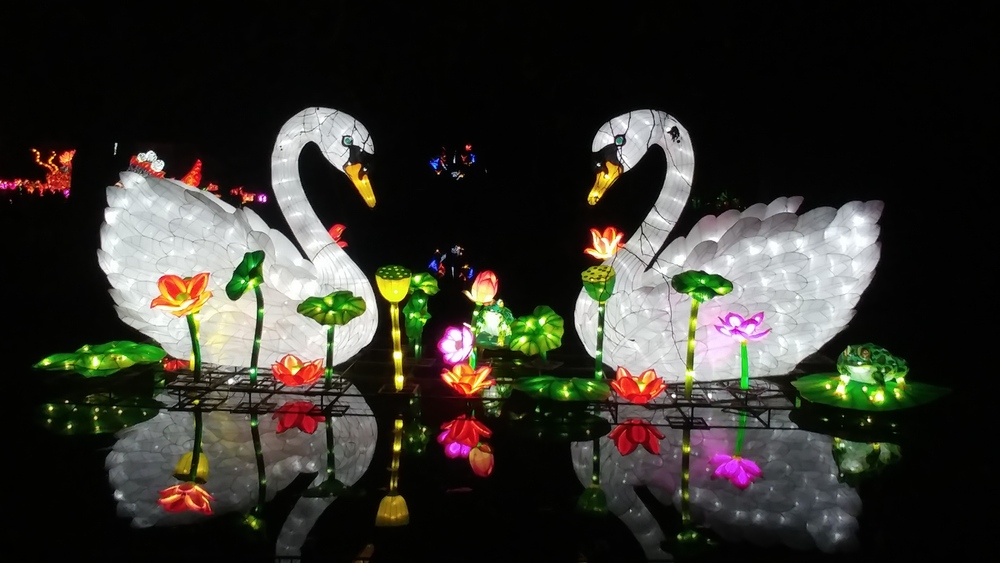 China Light Festival @ Kölner Zoo 2018