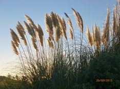 Saint-Jean de Luz