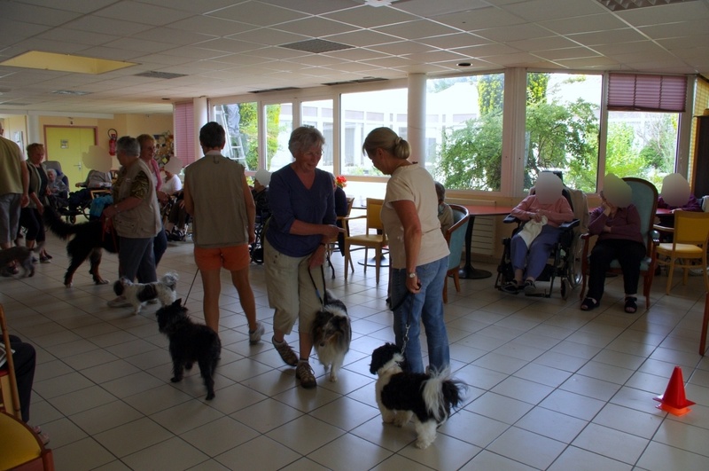 Démonstration canine à la maison de retraite de St Georges d'Oléron