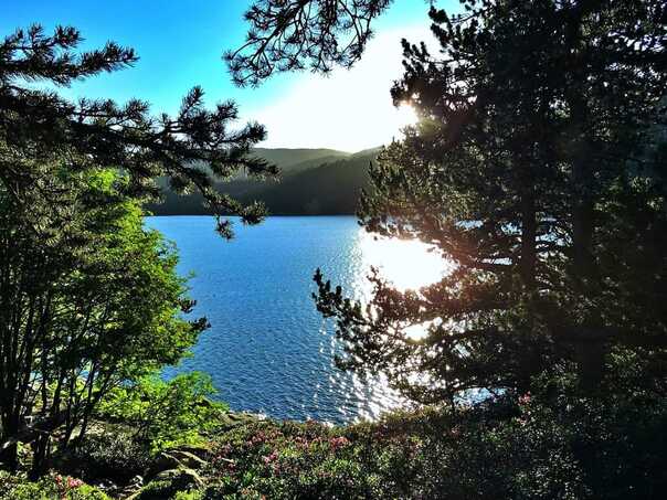 Peut être une image de lac, montagne, nature et arbre