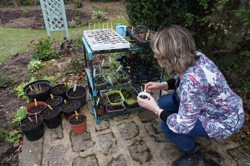 Garden Party chez Claire