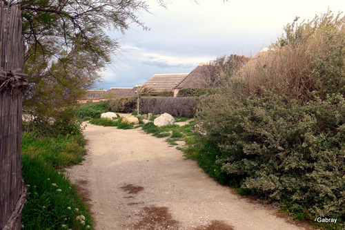 Le Barcarès : les maisons des pêcheurs