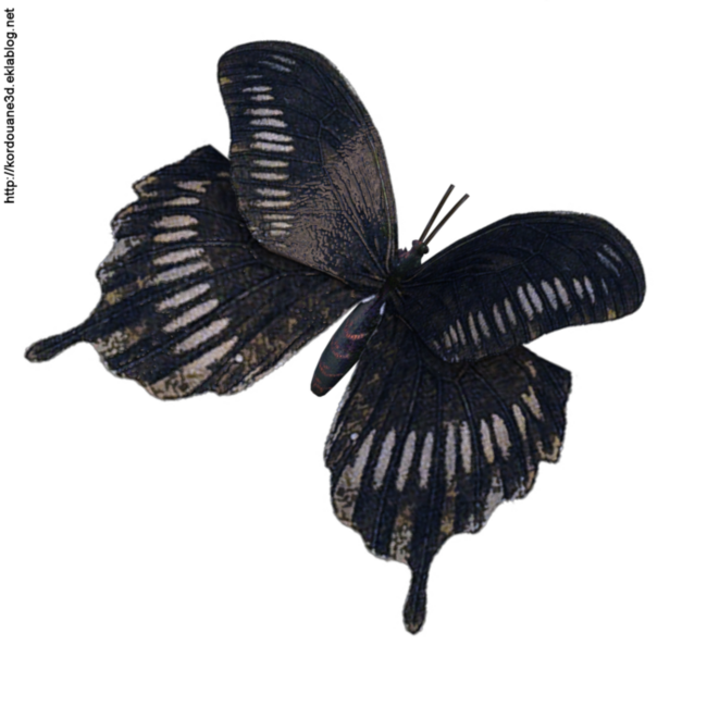 Tube papillon multicolore (image-png)