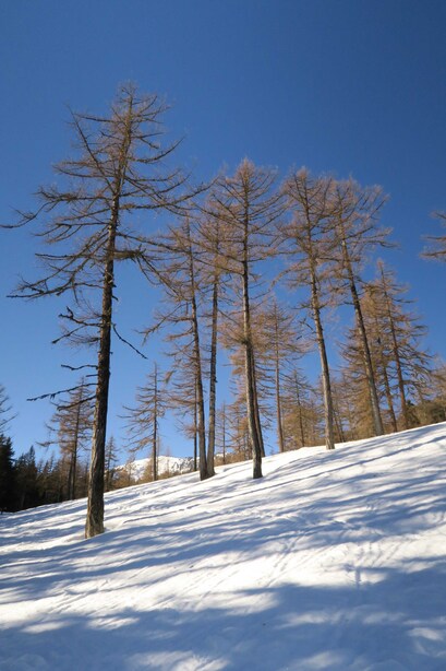 Versl'Arpille