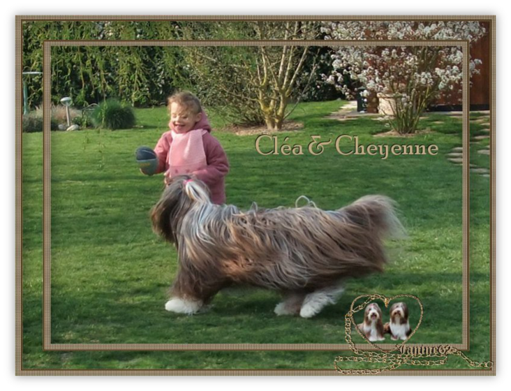 Athos & Cheyenne et leur copine Cléa 