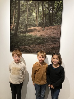 Exposition : Portrait d'une forêt