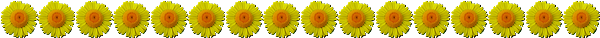 barre séparation fleurs