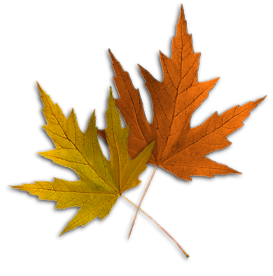 Tubes feuilles
