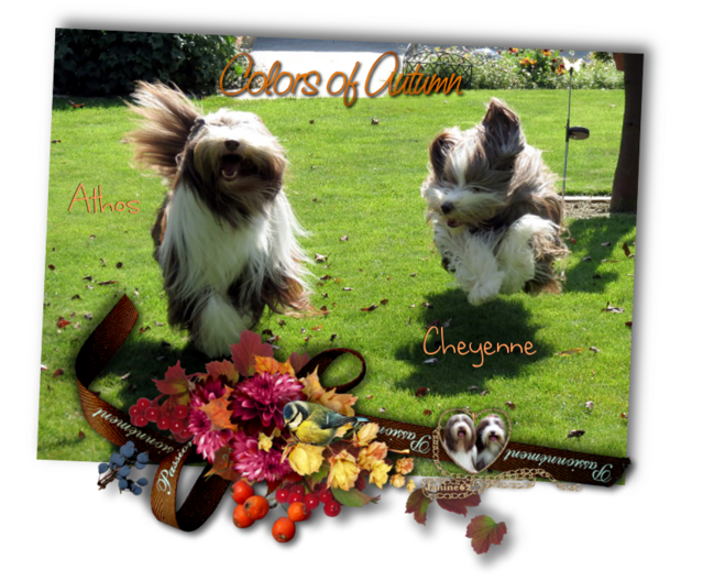 ♥ Bon week-end d' Athos & Cheyenne ♥