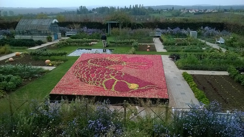 Sortie aux jardins fruitiers de Laquenexy