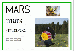 Les mois de l'ann&eacute;e affichage