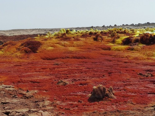 le Dallol, un volcan qui vit ;