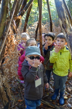 Mercredi 13 novembre : sortie à la forêt de Touffou pour les maternelles