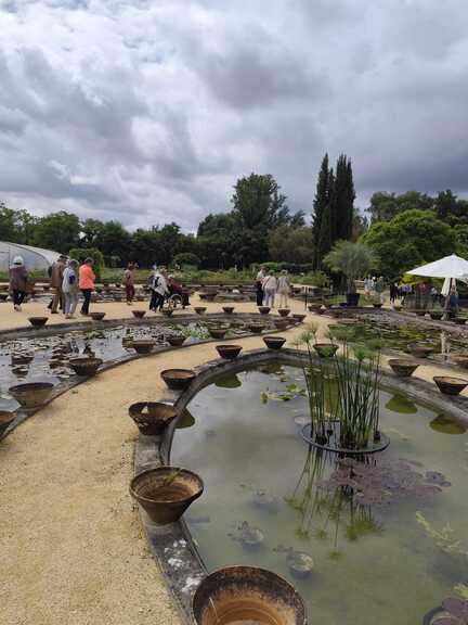 BALADE du 11 juin 2024