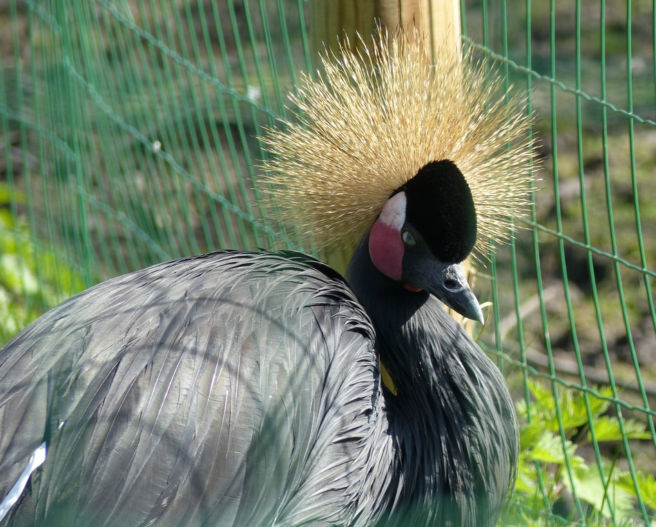 Notre beau parc Zoologique 