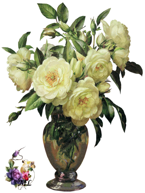 bouquet roses blanches