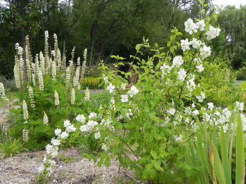 C'est un jardin extraordinaire ...