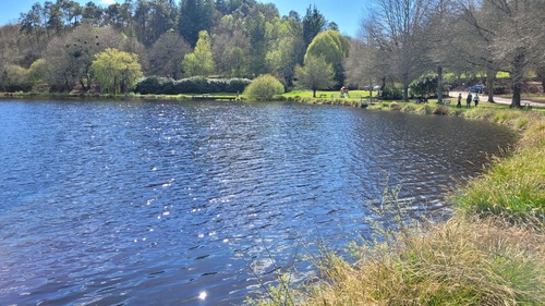 Jeudi 14 Avril à Melrand . 9km 500 pour clôturer cette jolie journée passée entre le bruit de l'eau courante des ruisseaux et les oiseaux !!!! 
