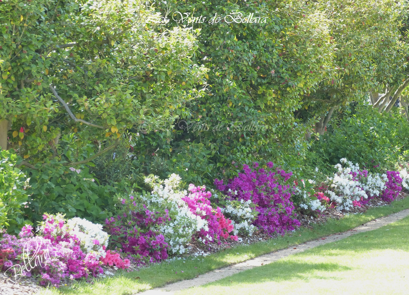 Jardin du Mail de Angers - 9