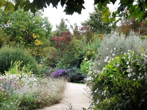 Les jardins de Coursiana (Automne 2016)