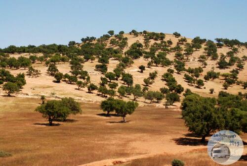 D'Agadir à