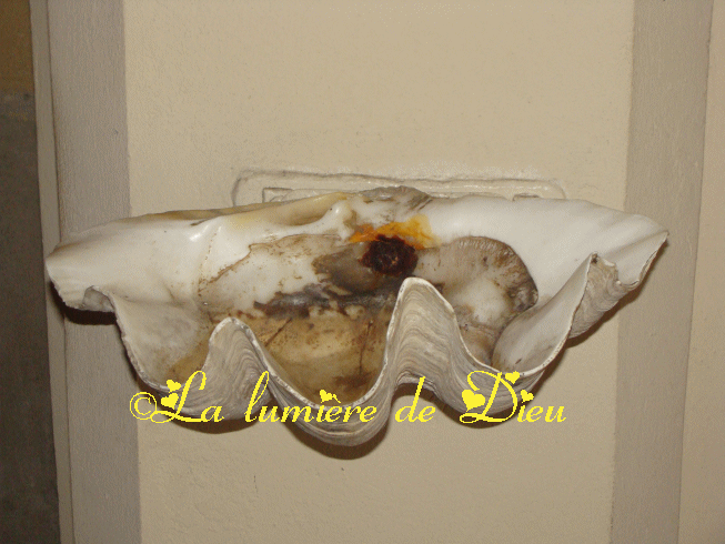 Bayonne : église saint Etienne