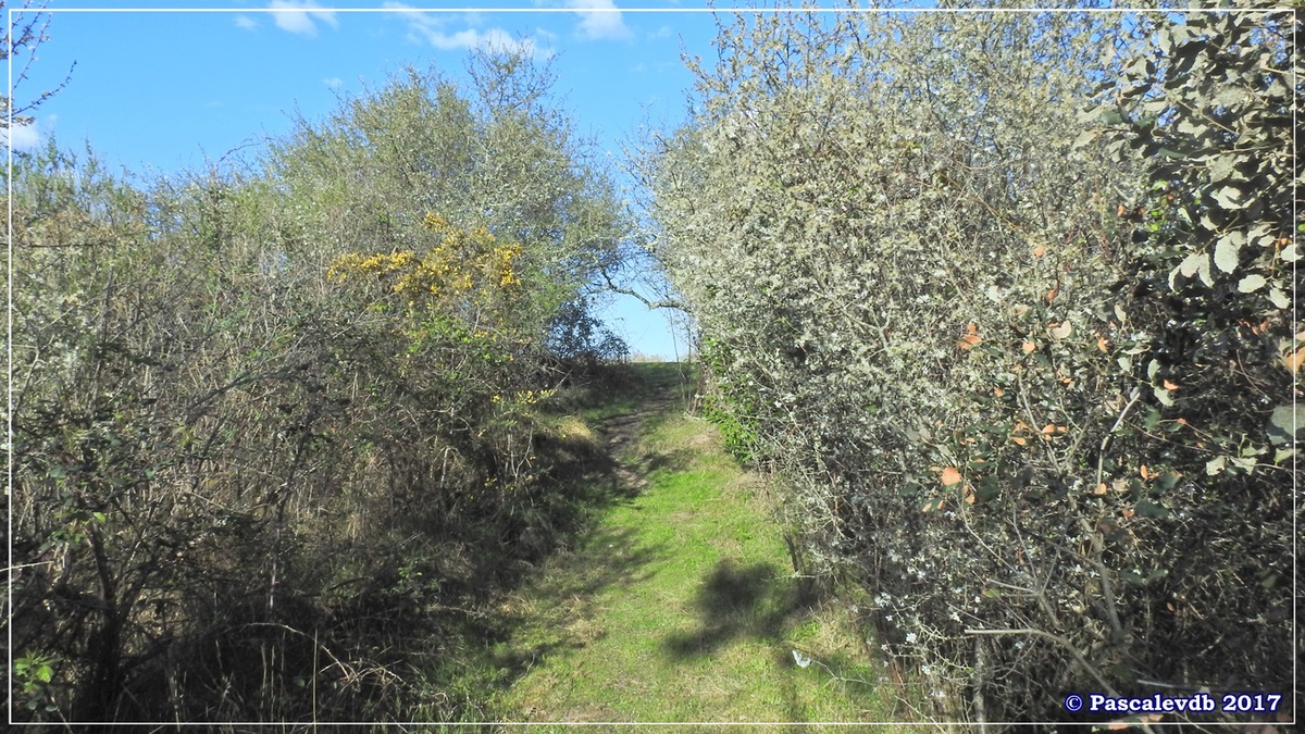 Balade au port du Rocher à Gujan Mestras en Mars 2017 - 8/10