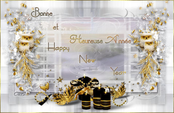 BONNE ANNEE - HAPPY NEW YEAR