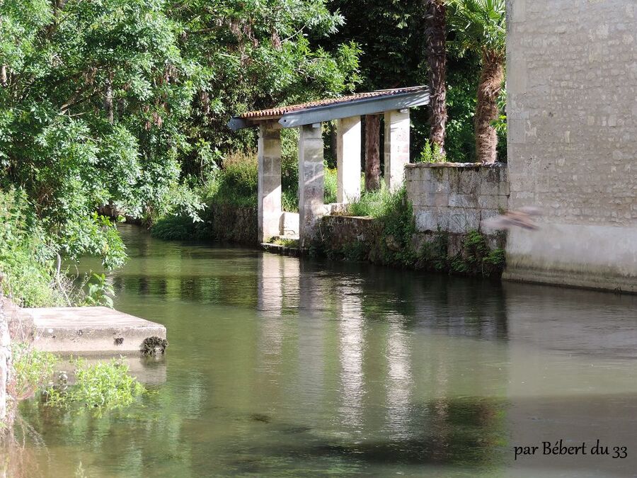 la rivière de la guirlande à Bassac  (16)