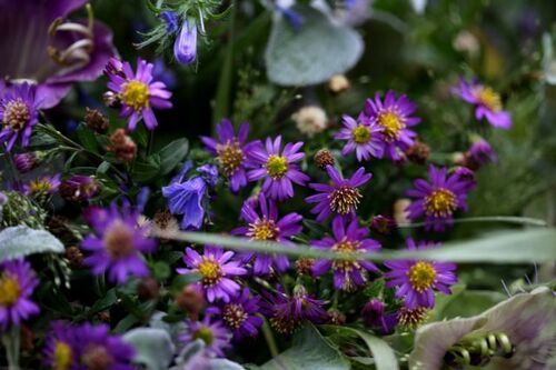 Chalice of flowers