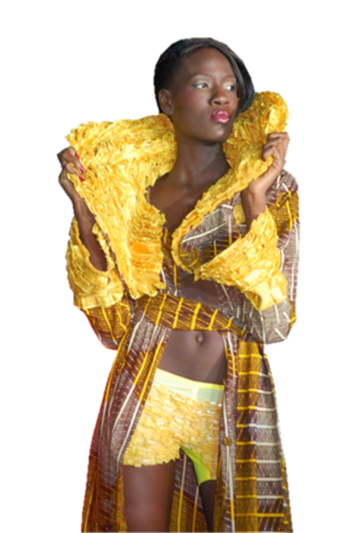 Femmes Africaine 2