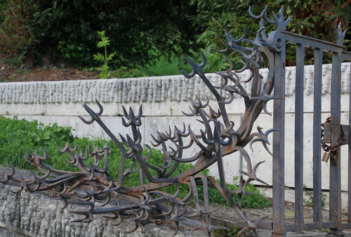 Le Parc de Saint Cloud