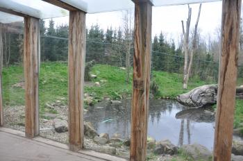 gaiazoo2015 109 gaiazoo2015 109