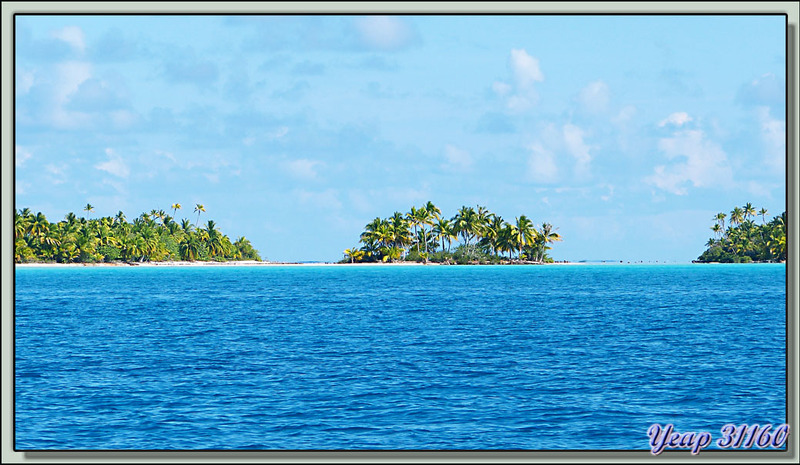 Avant d'arriver sur notre "île déserte" nous découvrons de petites merveilles - Fakarava - Polynésie française