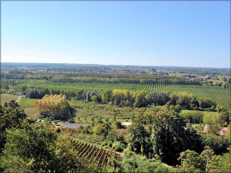 Paysages de Sainte Croix du Mont (Gironde)