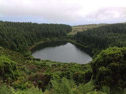 Les Açores : l'ile de Pico