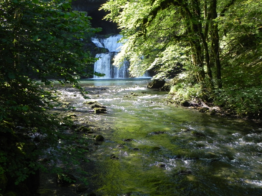 La cascade de la source du Lison 