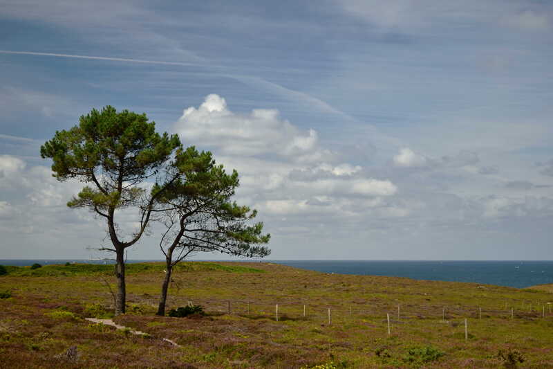 2016.08.10 Val André, pointe d'Erquy, La Ville Berneuf (Région Bretagne) (2)