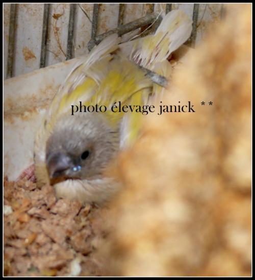 temps de chiotte
