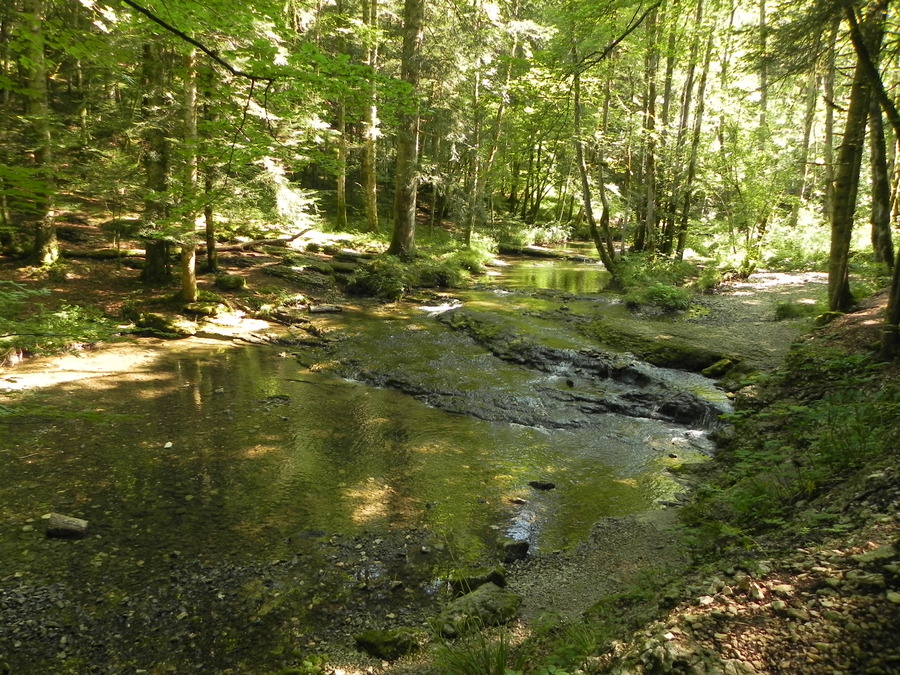 le saut du château Garnier dans le Jura